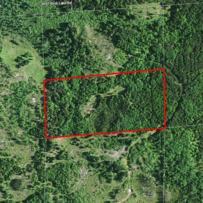 001 Birch Lake Road - Photo 1