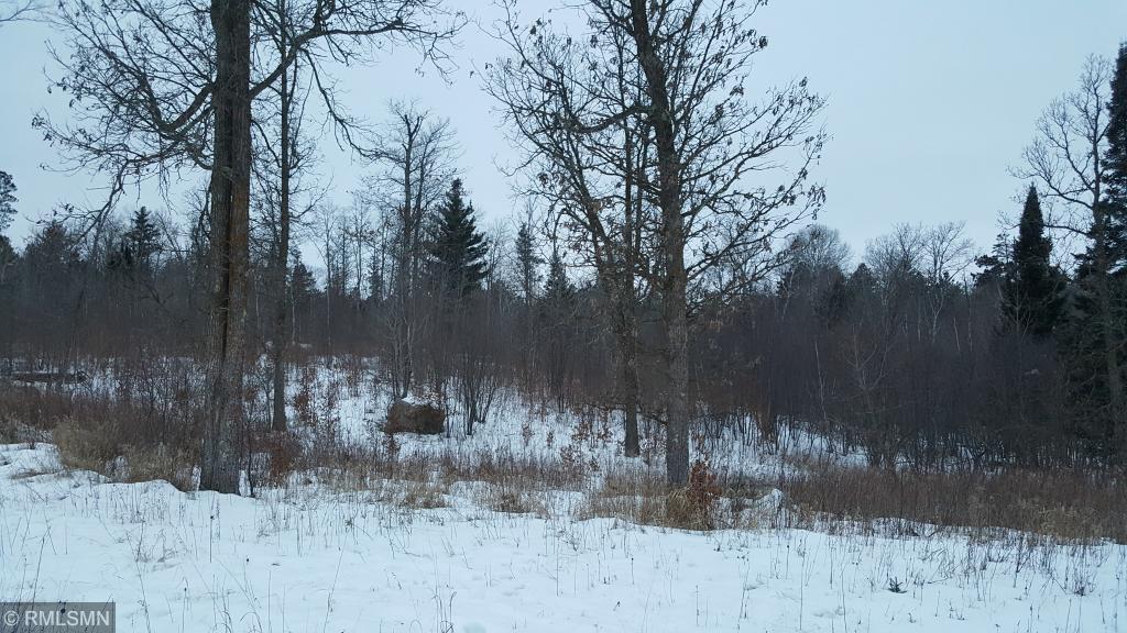 Tract A & B Scenic Lake Dr Drive - Photo 1