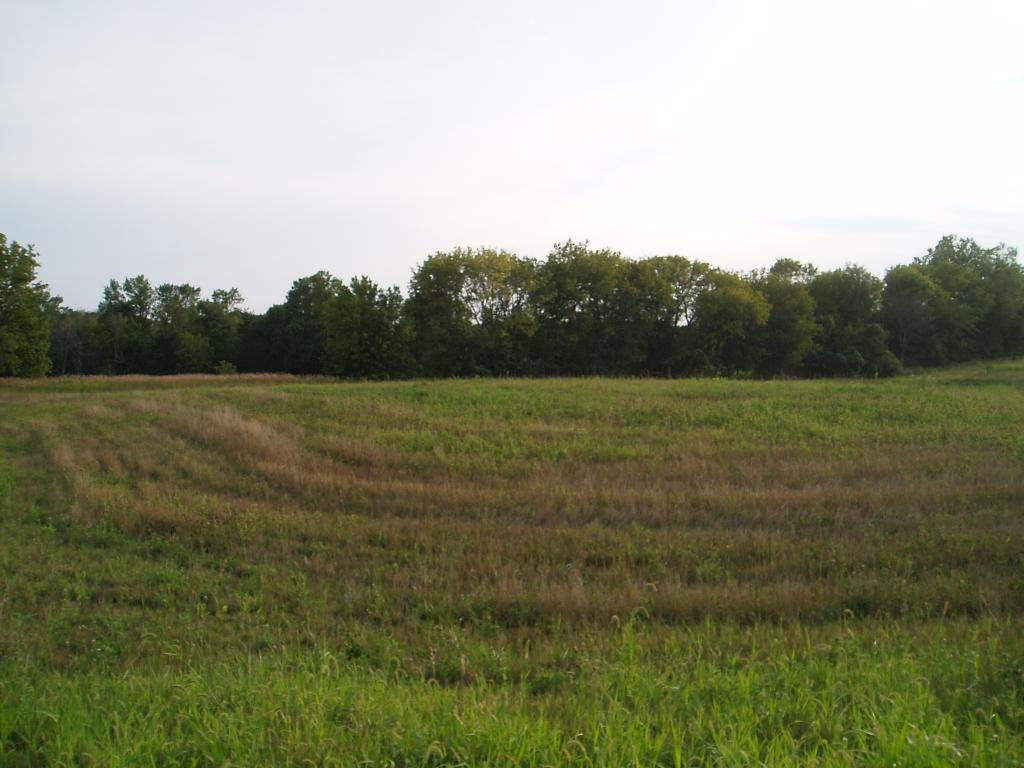 XXX 211th Lane - Photo 1