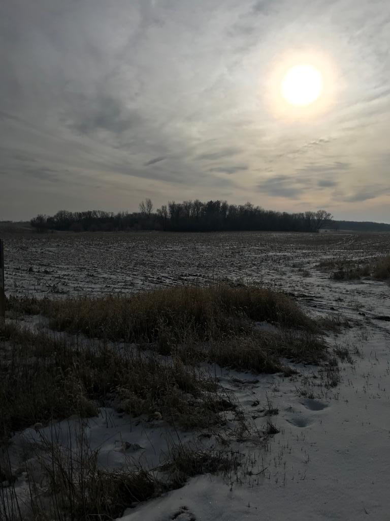 So. of 24757 County Road 50 - Photo 1