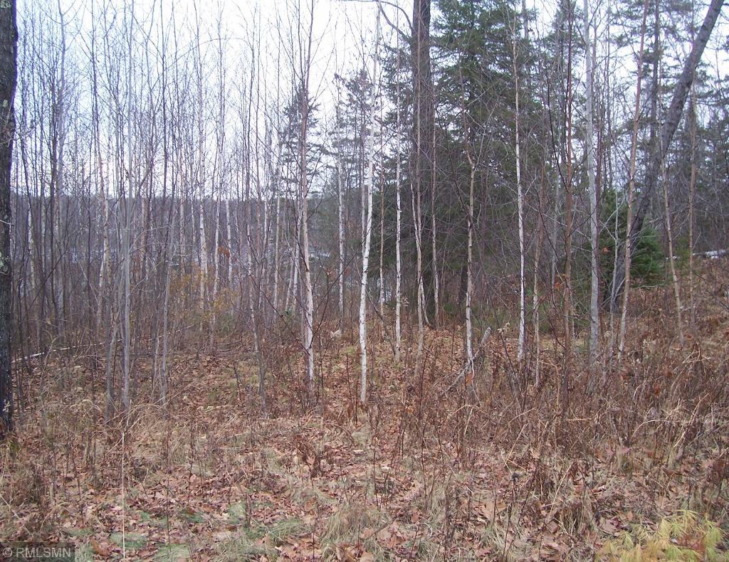 0 Hunter Lake Road - Photo 1