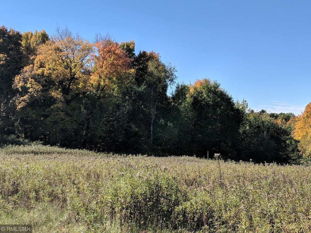 xxx 135th Ave Avenue - Photo 1