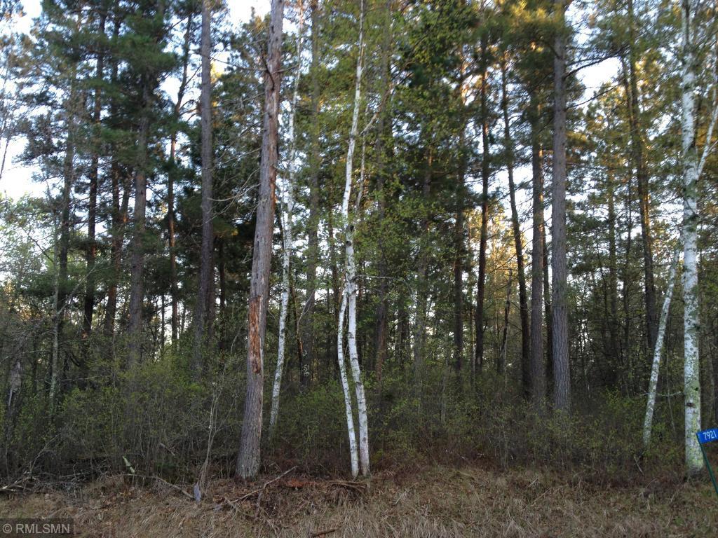 Lot 40 Pueblo Circle - Photo 1