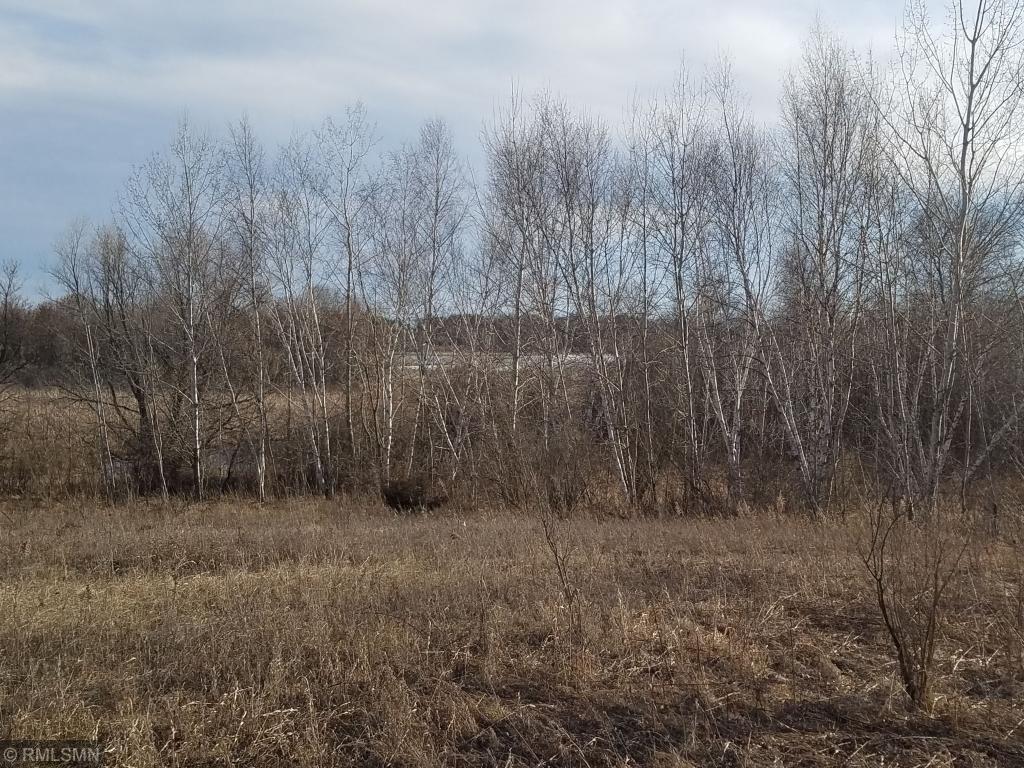 16XX 85th Ave - Photo 1