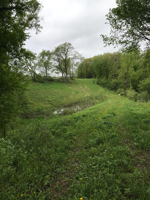 TBD County 49 Boulevard - Photo 1
