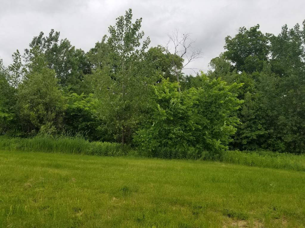 3380 Wilds Ridge - Photo 1