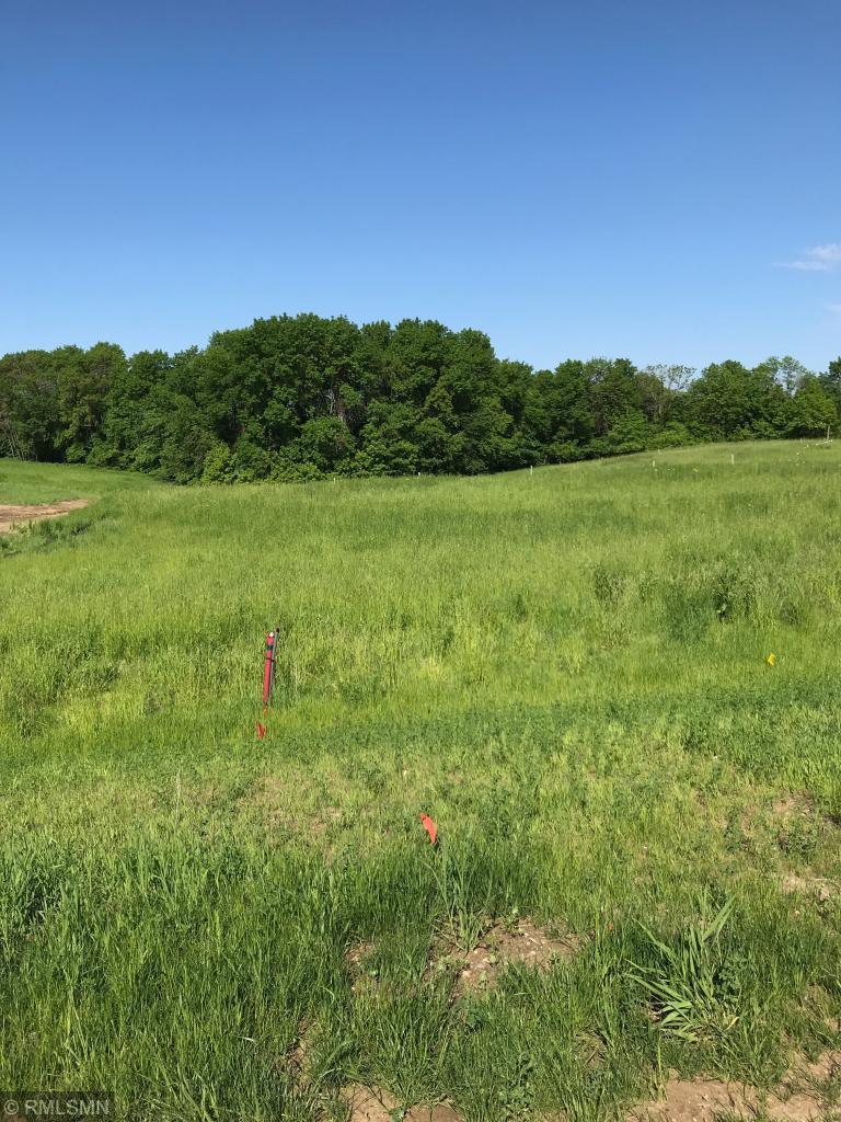 20330 Levi Lane - Photo 1