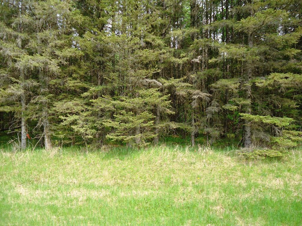 TBD Co Rd 12 - Photo 1