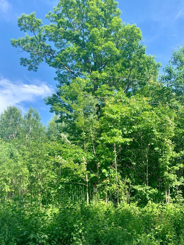 4310 County Line Rd. - Photo 1