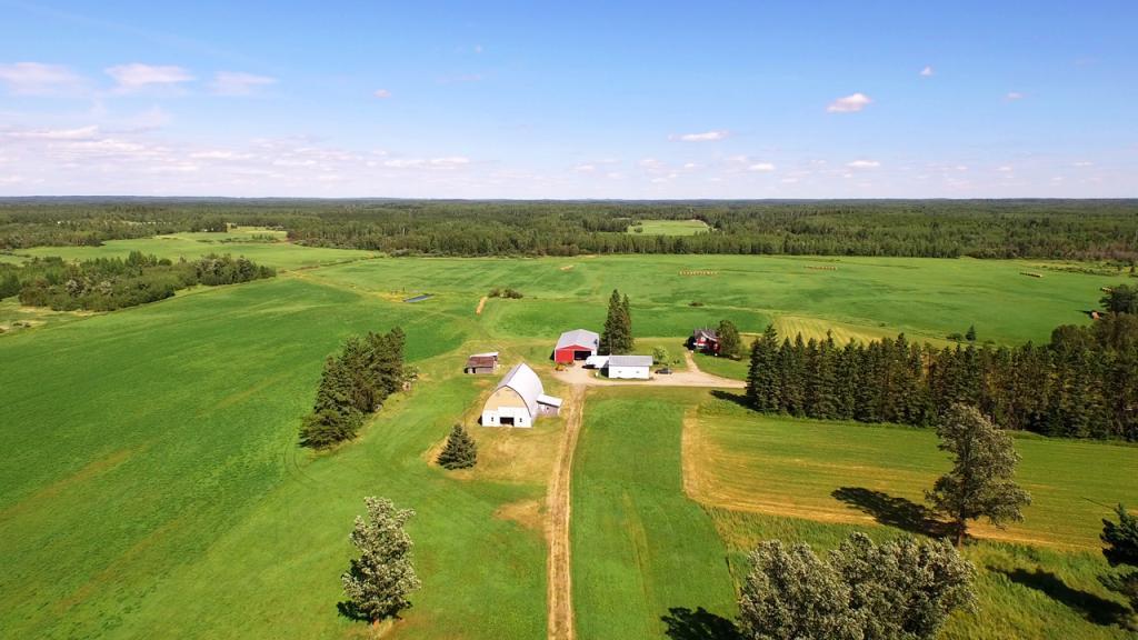 1232 Forsline Road Road - Photo 1
