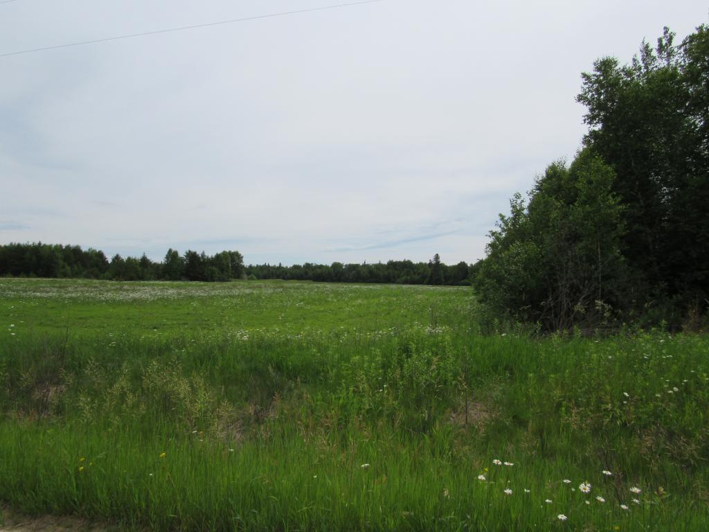 TBD 257TH AVE Avenue - Photo 1