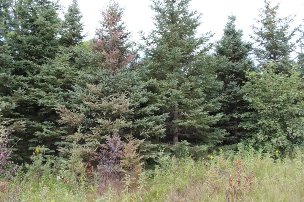 xxx Osprey Avenue - Photo 1