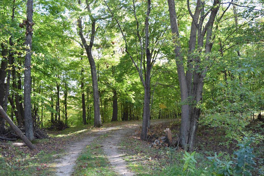 3325 County 54 - Photo 1