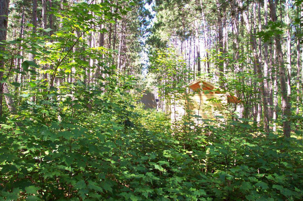 Lot 408 Basswood Drive - Photo 1
