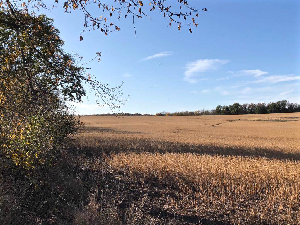 78XX 75th Street - Photo 1