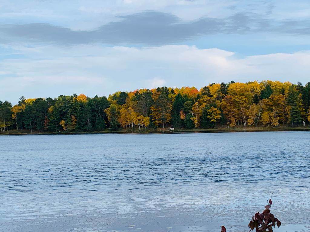TBD Hunter Lake Road - Photo 1