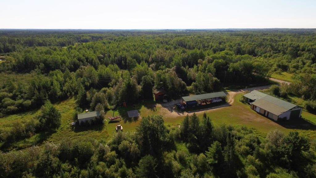 9289 Armstrong Rd Road - Photo 1