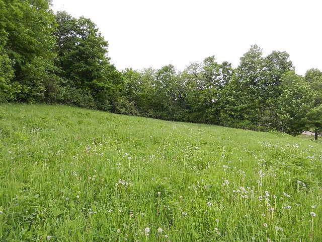 3 Acres Cherry Avenue - Photo 1