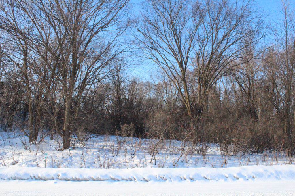 XX1 5th Avenue - Photo 1