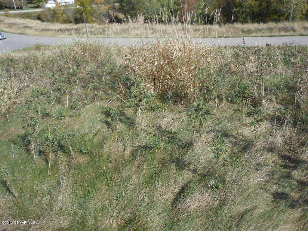 63 Buck Ridge Drive - Photo 1