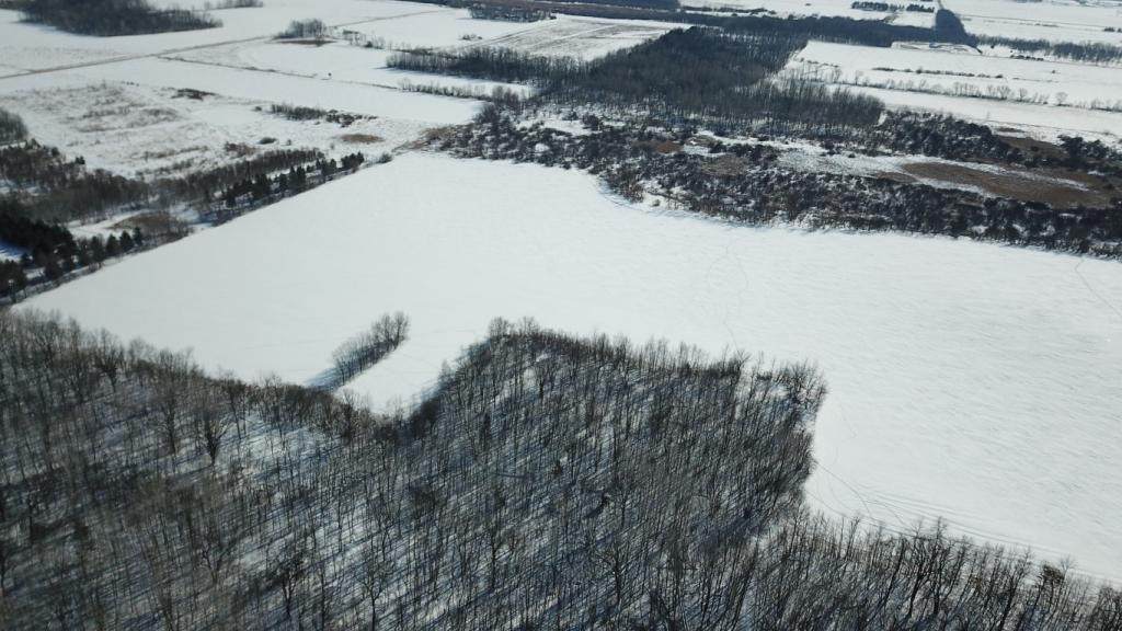 XXX Hwy 25 - Photo 1
