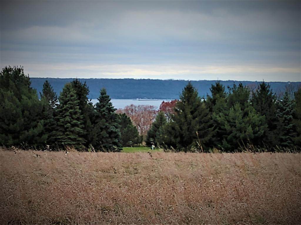 67 Acres 451st Street - Photo 1