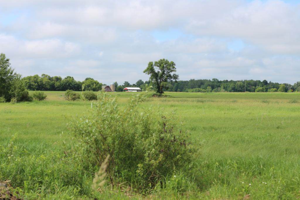 xxx Delta Road - Photo 1