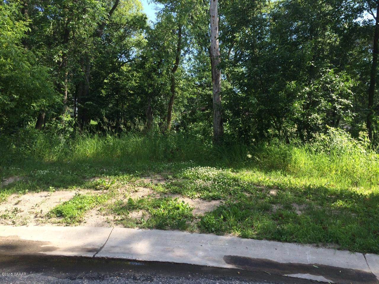 2004 Wildflower Lane - Photo 1