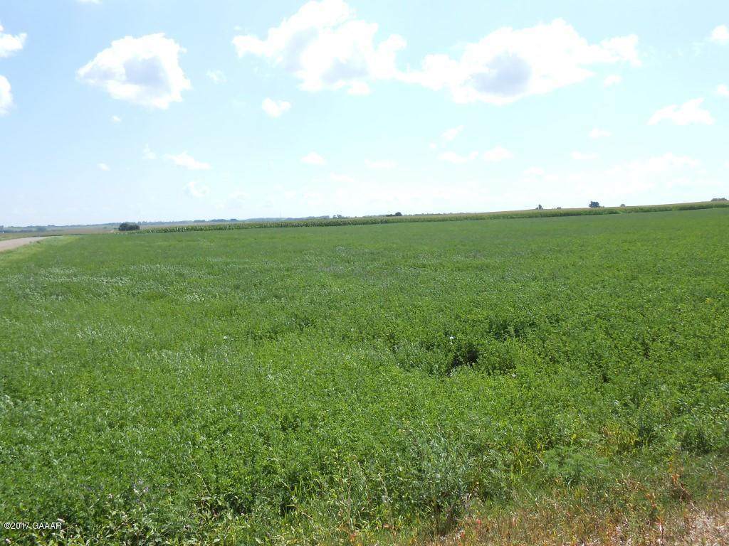Parcel B County Road 5 - Photo 1