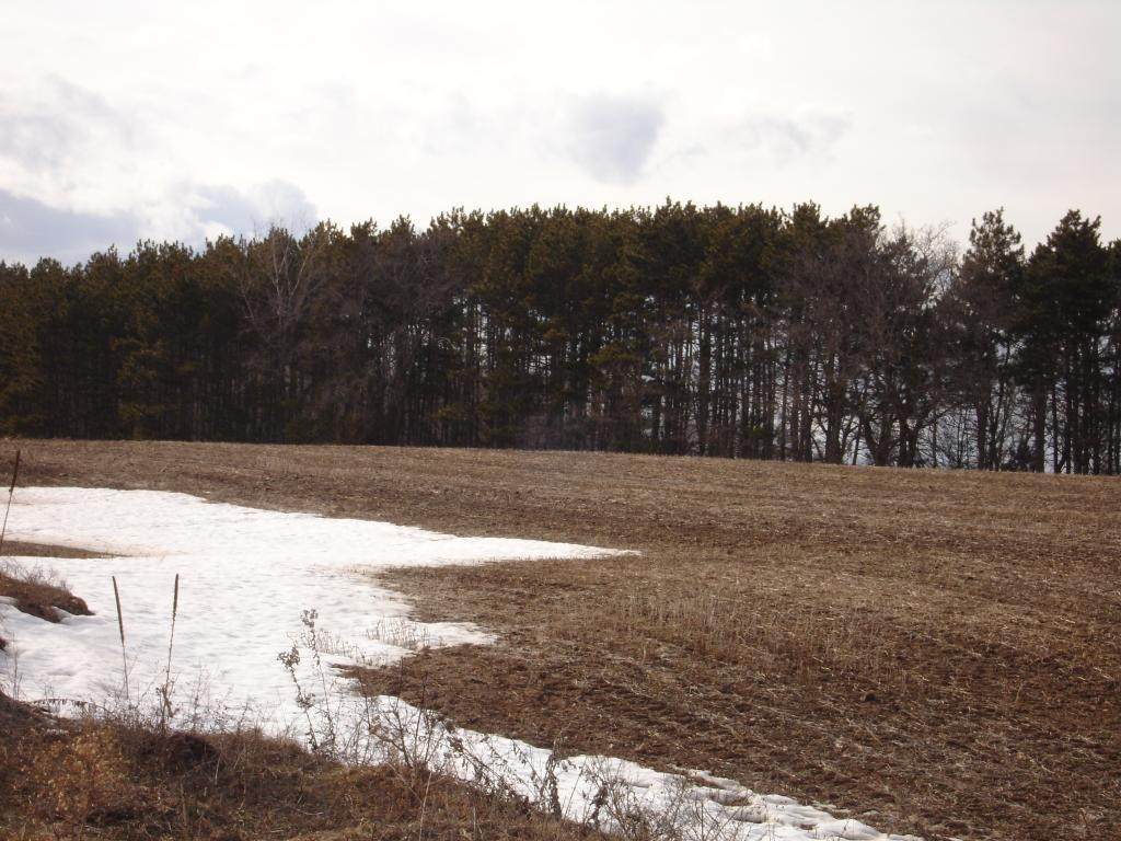 1850 45th Street - Photo 1