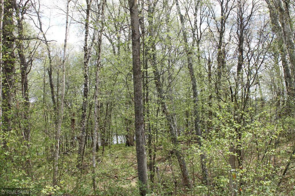 XXX Fawn Forest Lot 11 Road - Photo 1