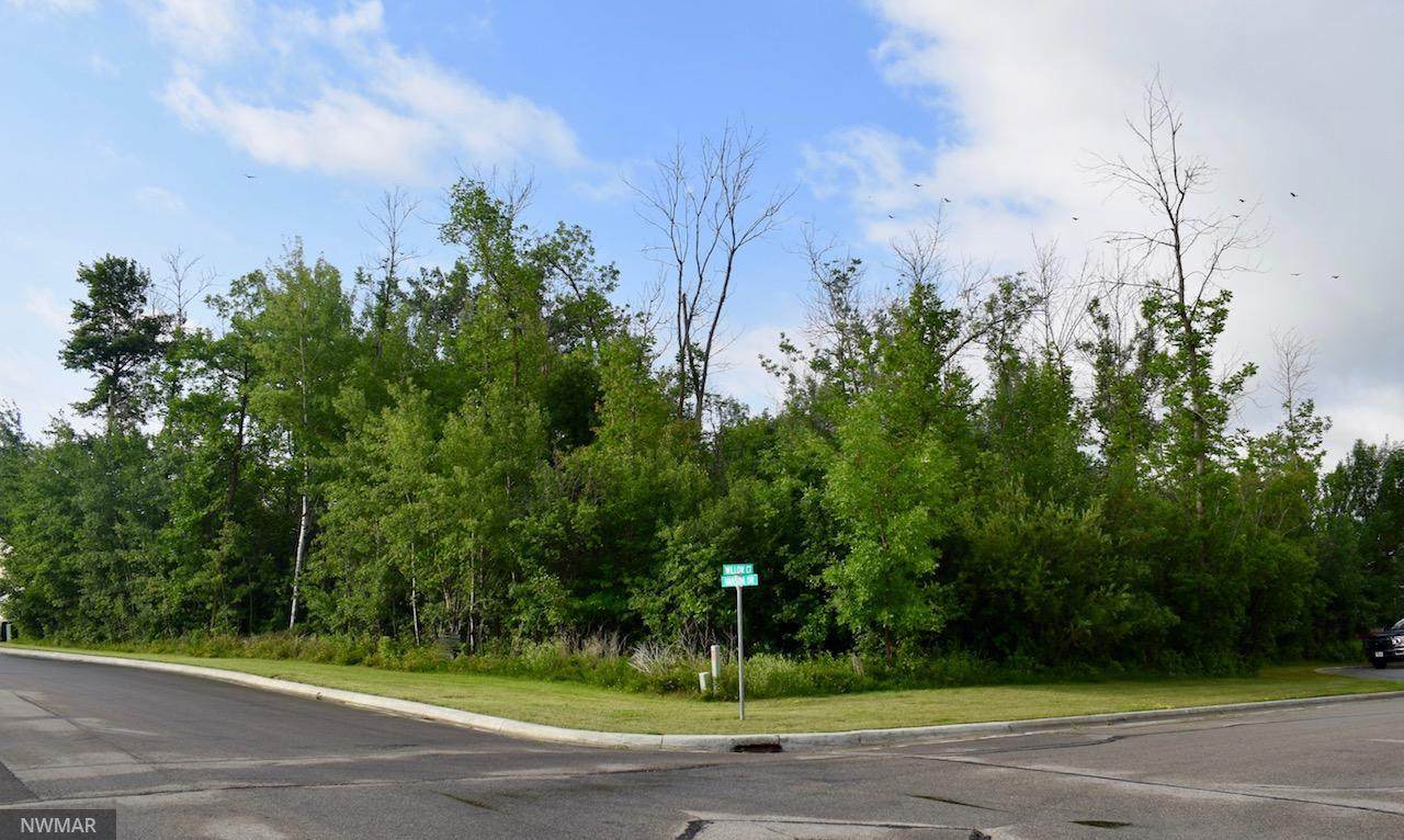 000 Willow Court - Photo 1
