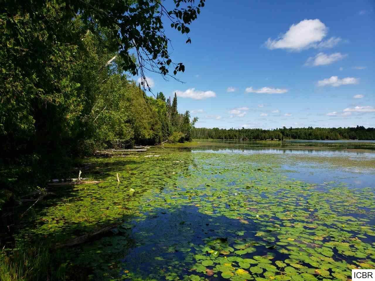 TBD Horseshoe Lake Rd - Photo 1