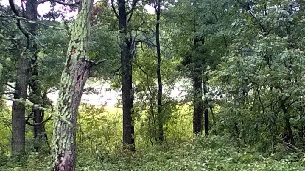 TBD Lot 1 Preserve Circle - Photo 1