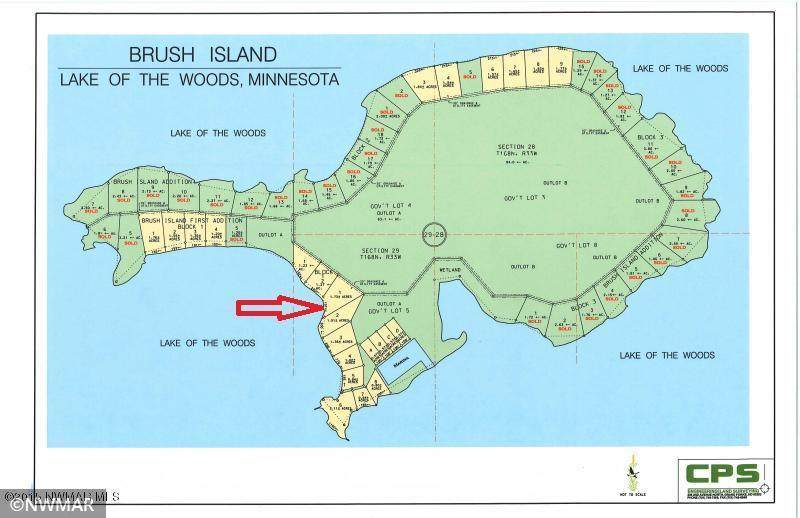 TBD Brush Island - Photo 1