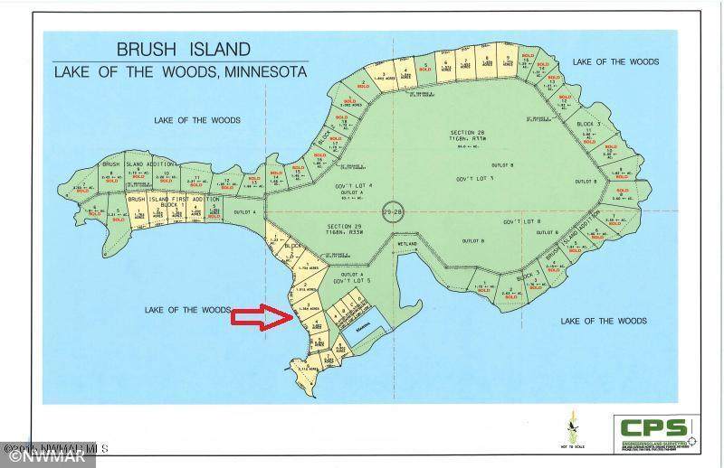 TBD Brush Island - Photo 1