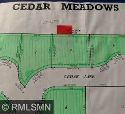 1409 Cedar Lane - Photo 1