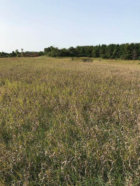xxxx Island Estates (Site12) Dr - Photo 1
