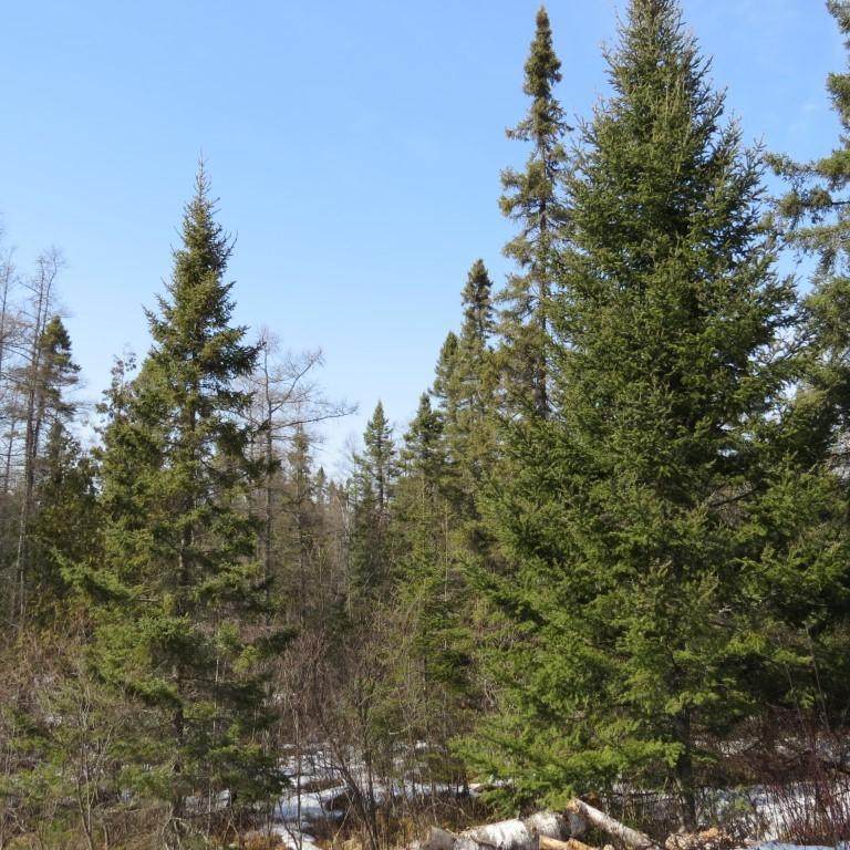 XXX Twin Lakes Road - Photo 1