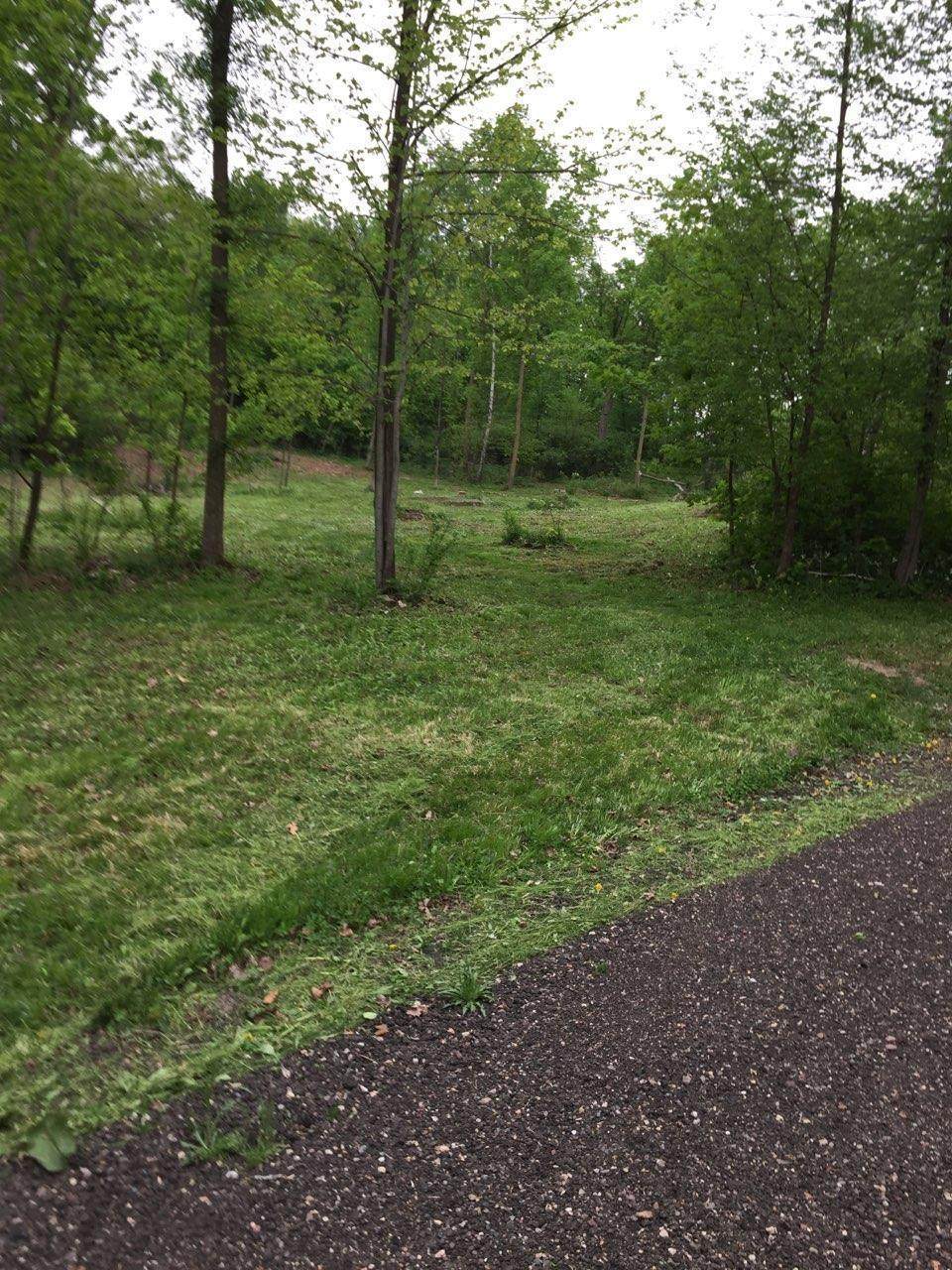 Lot 3 Hwy K - Photo 1