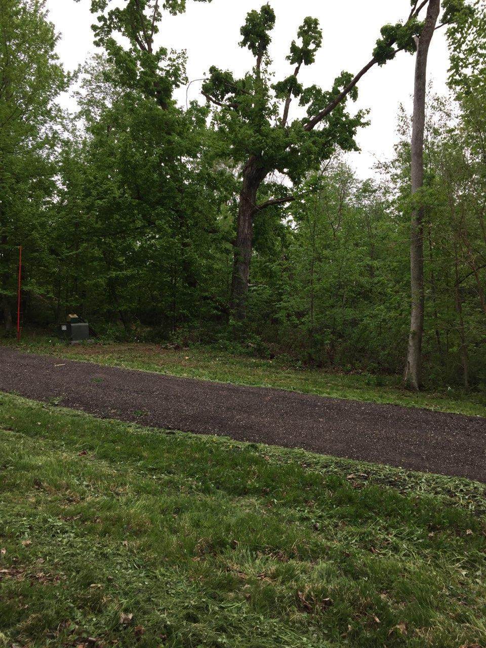 Lot 5 Hwy K - Photo 1