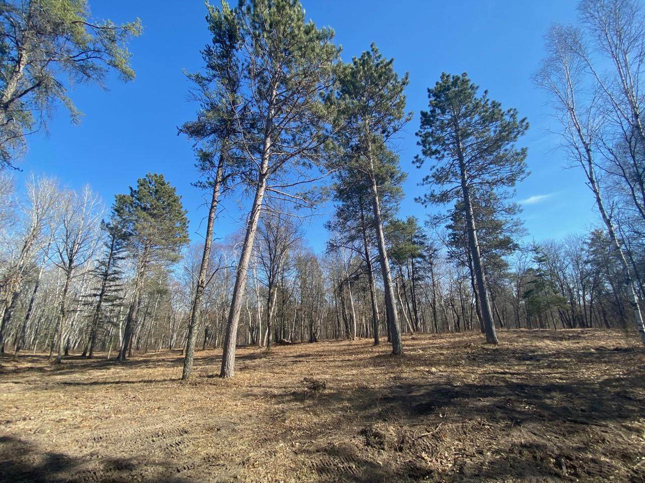 TBD Gunflint Drive - Photo 1
