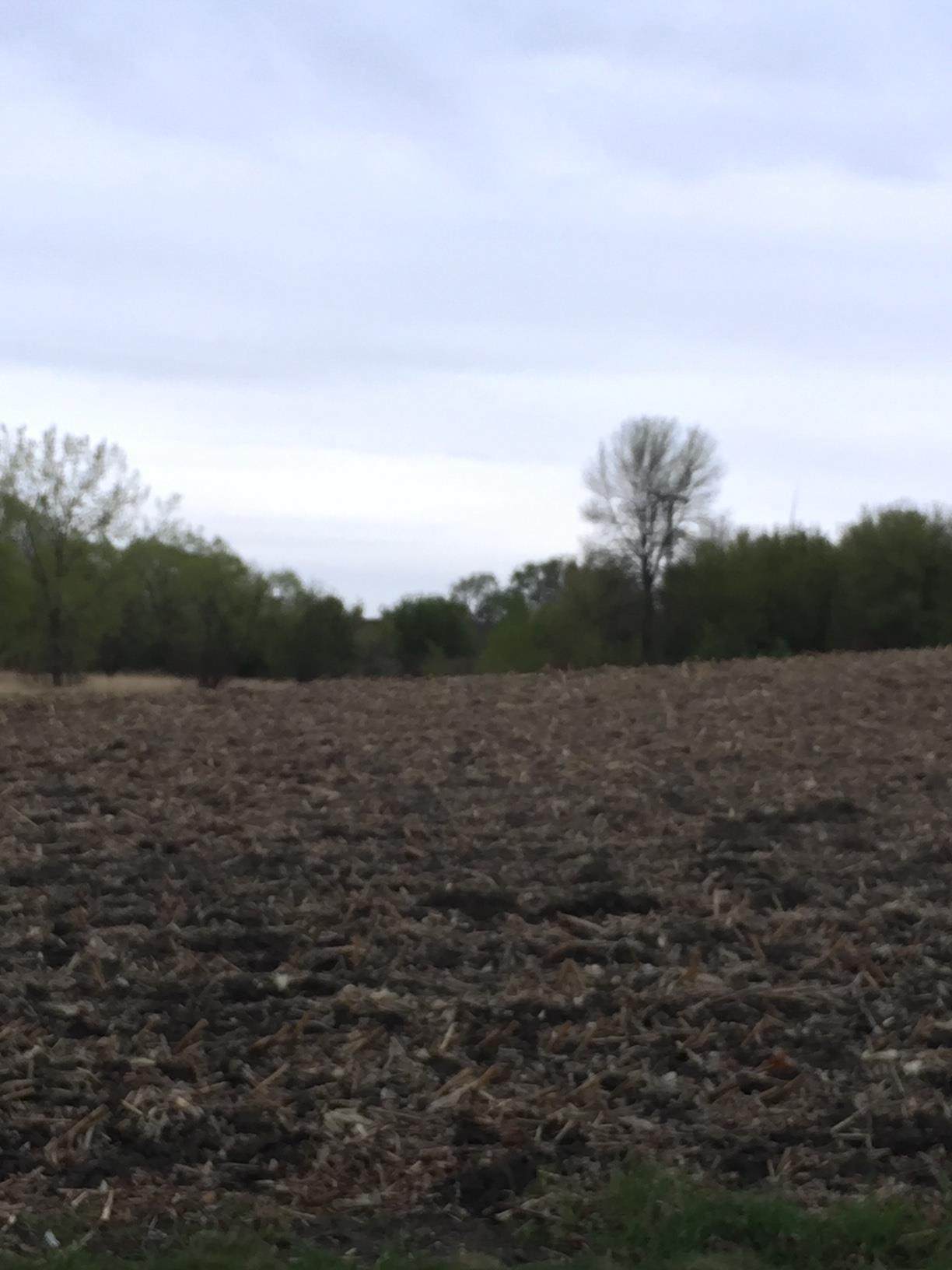 xxxx Eagle Lake Road - Photo 1