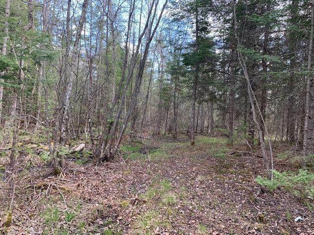 tbd Wendigo Road - Photo 1