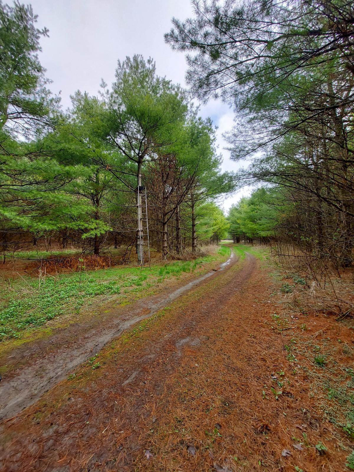 0 640th - Photo 1