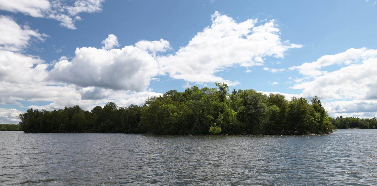 Private Island Lake Vermilion - Photo 1