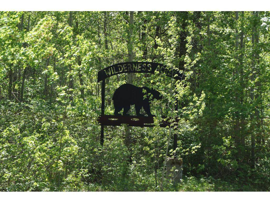 Lot 3 Blk 4 Black Bear Trail - Photo 1