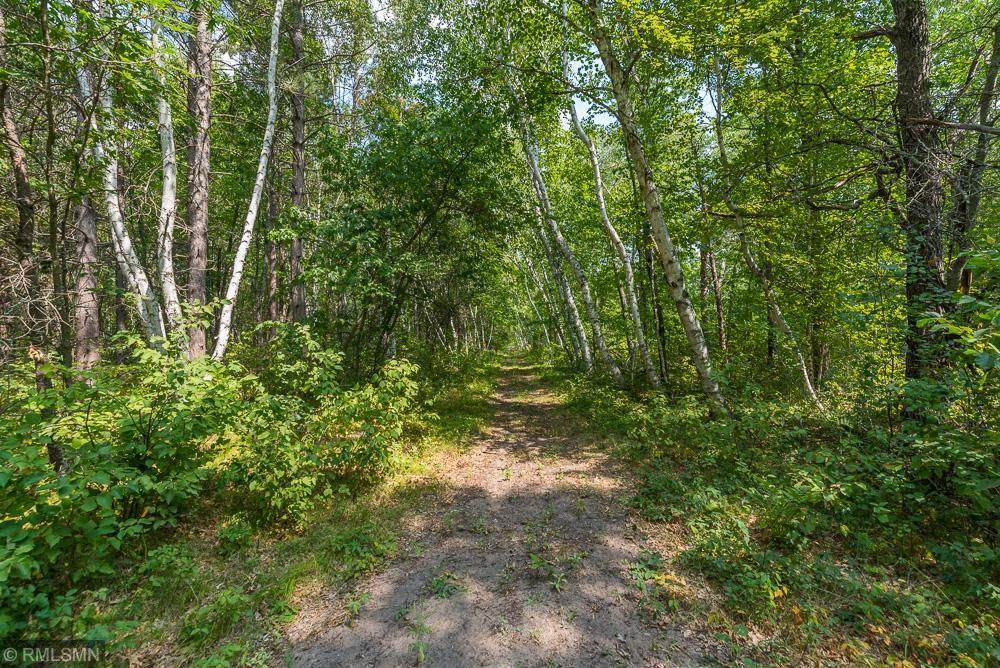 Tract C Hartley Lake Road - Photo 1