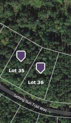 Lot 35 Setting Sun Trail Way - Photo 1