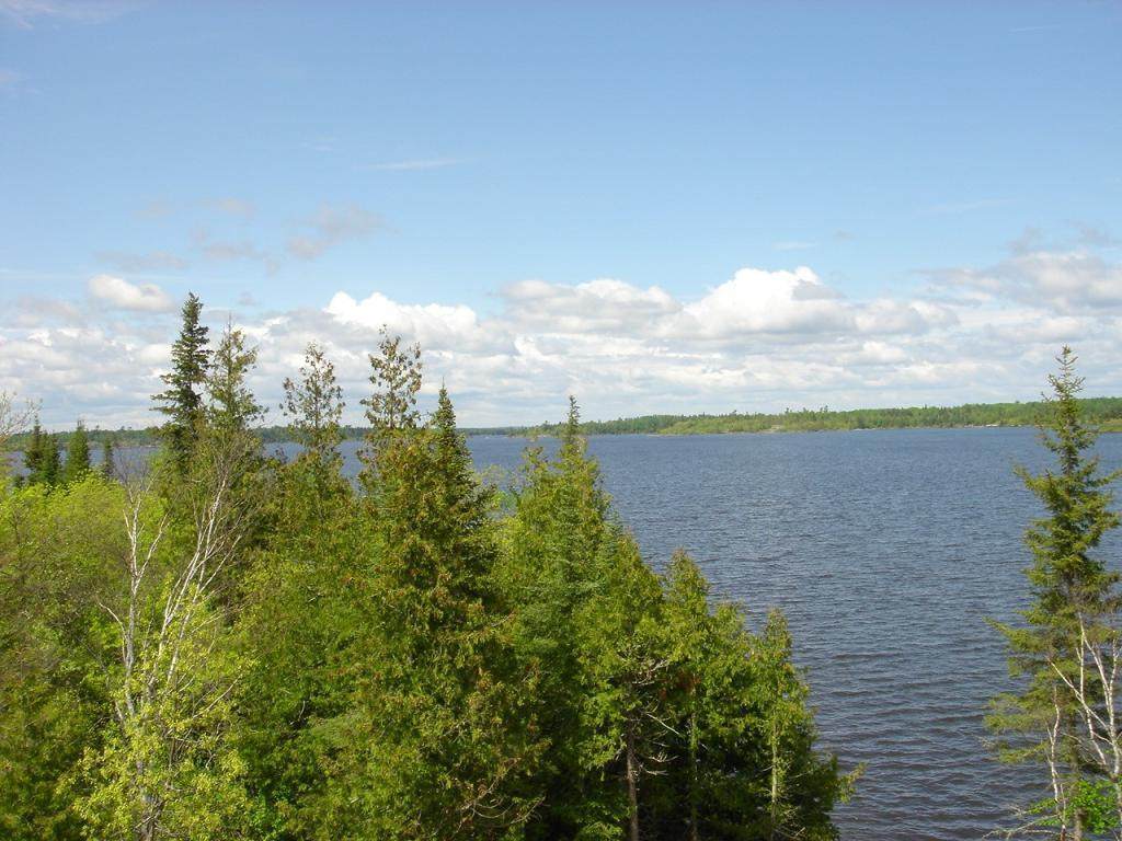 14 Brush Island - Photo 1